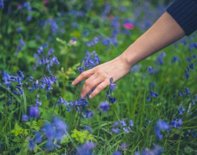 Hand in field of flowers