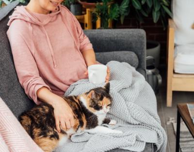 Cat sitting on a blanket near a woman in a pink sweatshirt sitting on a couch