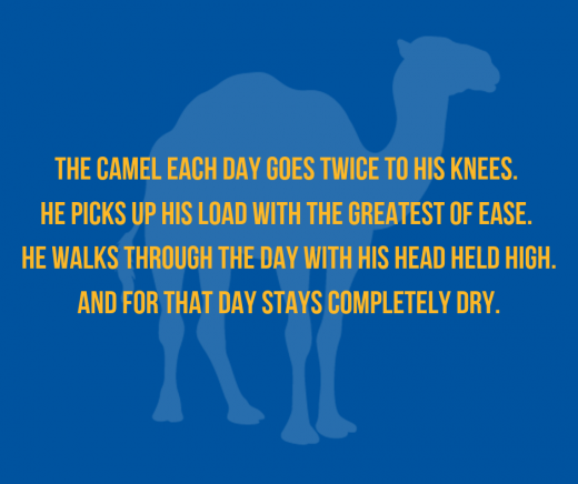 The camel each day goes twice to his knees. He picks up his load with the greatest of ease. He walks through the day with his held head high. And for that day stays completely dry.