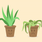 two cartoon plants, one with a happy face that is alive and one with a sad face that appears to be dying