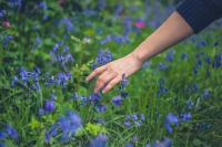Hand in field of flowers