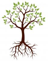 Illustration of tree with roots and branches