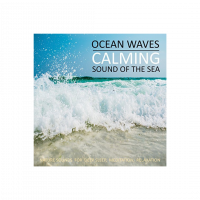 Ocean Waves Calming Sound of the Sea