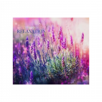 relaxation sounds cd